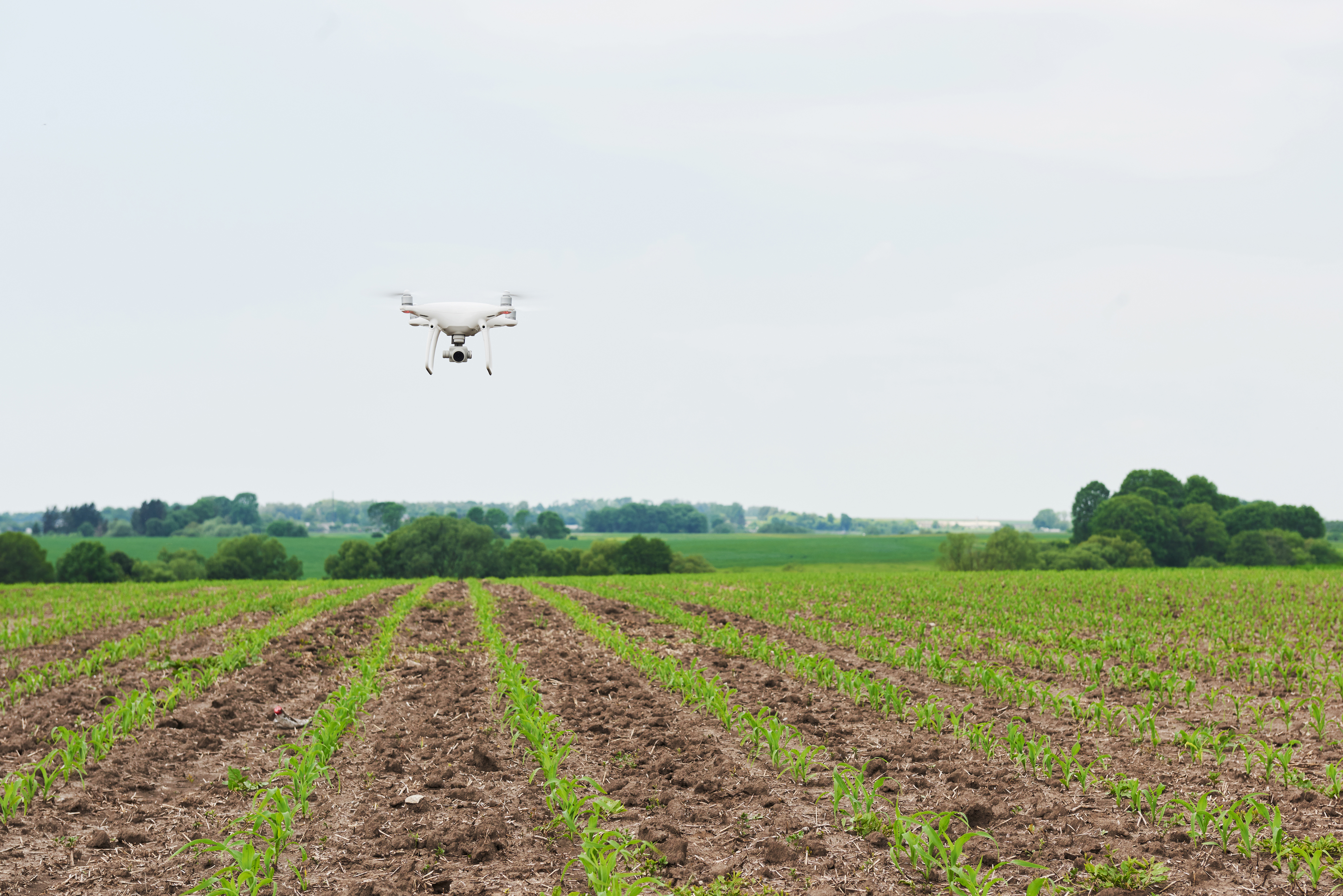 Smart Farm Case Study